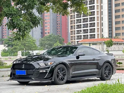 2017 Ford Mustang 2.3T Performance Edition, фото 1, лот 10299464