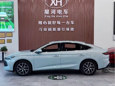 2024 Byd Qin, фото 4, лот 10245491