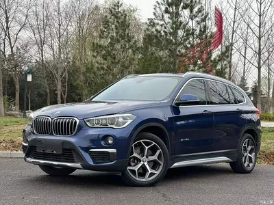2018 BMW X1 sDrive18Li Premium Model, фото 2, лот 10467509
