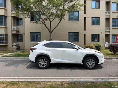 2018 Lexus NX Model 200 FWD Fengxing Edition China V, фото 4, лот 10318572