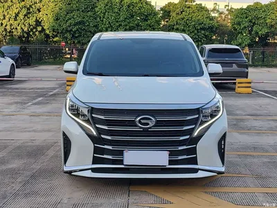 2023 GAC Trumpchi Trumpchi M8 Leading Series 390T Luxury Edition, фото 2, лот 10414796