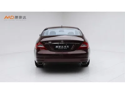 2009 Mercedes-Benz CLS 300, фото 4, лот 10300087