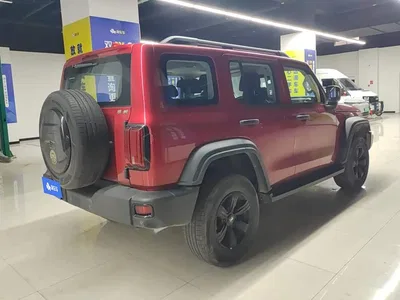 2021 Tank 300 Off-road Version 2.0T Conqueror, фото 3, лот 10396096