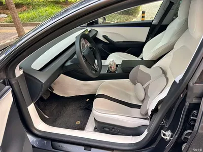 2023 Tesla Model 3 Rear-Wheel Drive, фото 4, лот 11136094