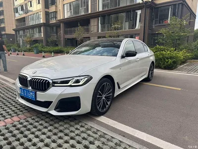 2021 BMW 5 Series 530Li Leading M Sport Package, фото 1, лот 11243766