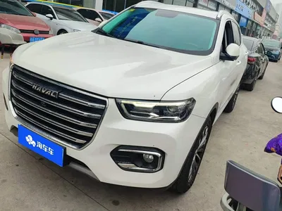 2020 Haval H6 1.5GDIT Automatic Platinum Champion Edition, фото 1, лот 11556462