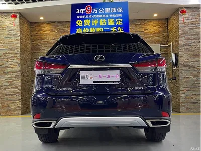 2020 Lexus RX Facelift 300 AWD Elegance Edition, фото 4, лот 10405876