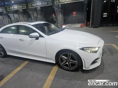 2020 Mercedes-Benz CLS-Class CLS300d 4MATIC, фото 1, лот 10179609