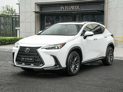 2024 Lexus NX 350h FWD Joy Creation Edition, фото 1, лот 11546639