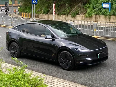 2025 Tesla Model Y Rear-Wheel Drive, фото 3, лот 11414116