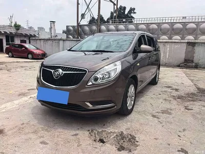 2017 Buick GL8 25S Luxury China V, фото 1, лот 10257180