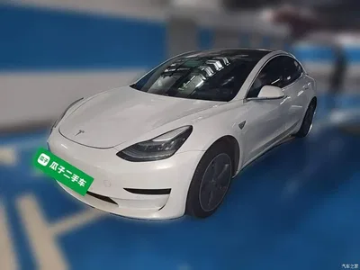 2019 Tesla Model 3 (Import) Standard Range RWD Upgraded Edition, фото 2, лот 10767859