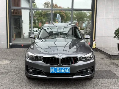 2019 BMW 3 Series GT 320i Fashion Model, фото 1, лот 11565010