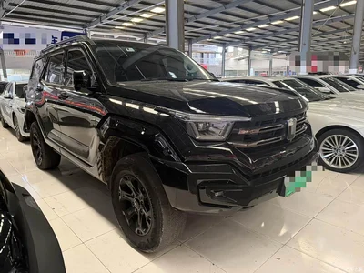 2024 Tank 400 New Energy Hi4-T Off-Road Edition, фото 3, лот 10405198