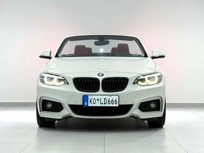 2019 BMW 2 Series (Import) 225i Convertible Coupe Exclusive M Sport Package, фото 2, лот 10232223