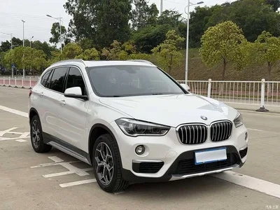 2019 BMW X1 xDrive20Li Premium Model, фото 3, лот 10466389