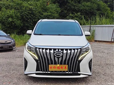 2021 GAC Trumpchi Trumpchi M8 Leading Show Series 390T Luxury Edition, фото 1, лот 11007560