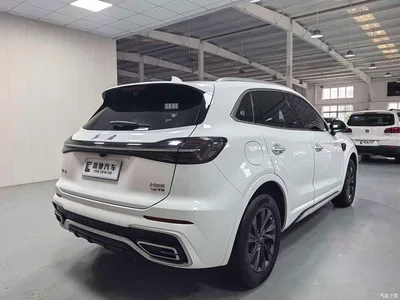 2023 Hongqi HS5 2.0T Flag Enjoy Pro Edition, фото 4, лот 10286804