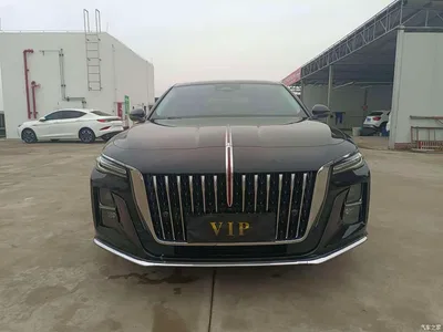 2023 Hongqi H5 2.0T Auto Smart Connect Flag Comfort, фото 1, лот 10288382