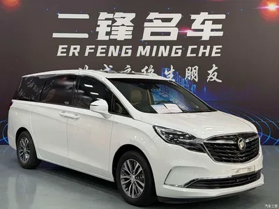 2021 Buick GL8 ES Landlord 653T Premium, фото 3, лот 10242616