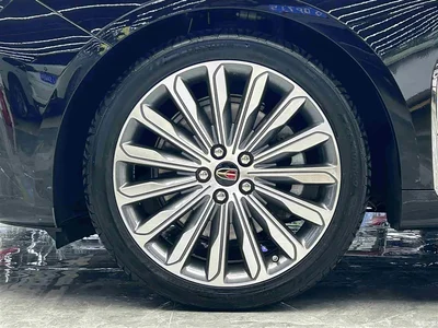 2022 Hongqi H9 3.0T H9+ Excellence Custom Edition, фото 4, лот 10286847
