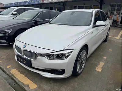 2019 BMW 3 Series 320Li Fashion Type, фото 1, лот 11532376