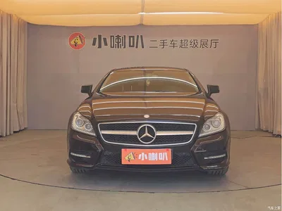 2012 Mercedes-Benz CLS 300 CGI, фото 2, лот 10298308