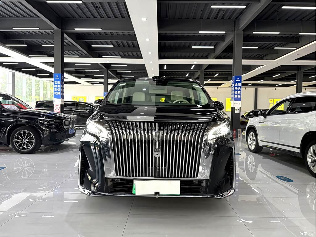 2025 WEY Alpine AWD Alpine 9, фото 2, лот 11136610