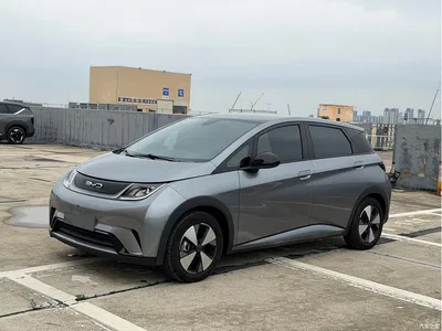 2023 BYD Dolphin 420km Fashion Edition, фото 1, лот 10255449