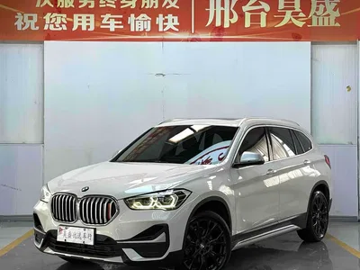 2021 BMW X1 xDrive25Li Exclusive, фото 1, лот 10466781