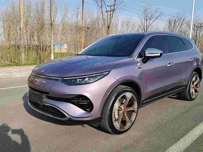 2020 Denza X Model PHEV Flagship Edition, фото 1, лот 10356826