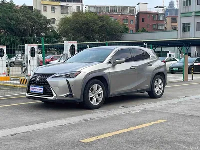 2019 Lexus UX 260h Explorer Cool Edition (China V), фото 1, лот 11023369