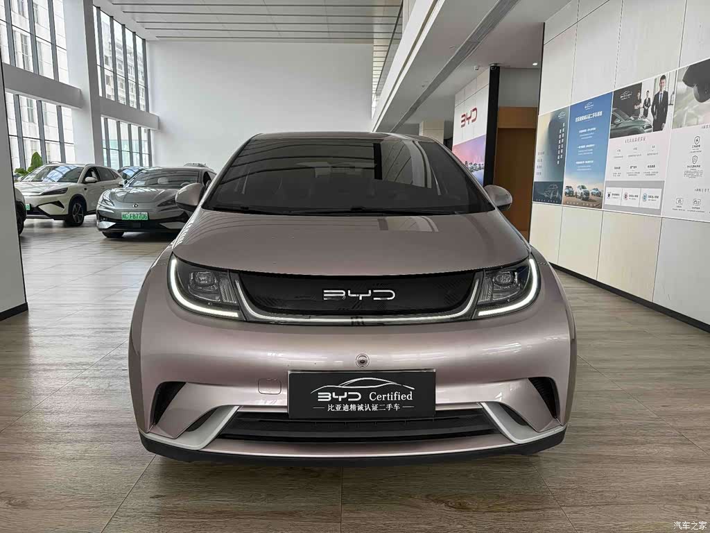 2021 BYD Dolphin 405km Freedom Edition, фото 2, лот 11220870