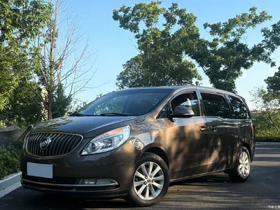 2015 Buick GL8 2.4L Luxury Business Exclusive Edition, фото 1, лот 10257654