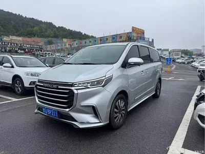 2020 SAIC Maxus Maxus G20 2.0T Gasoline Automatic Luxury, фото 1, лот 11162353