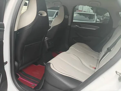 2024 BYD Destroyer 05 Glory Edition DM-i 55KM Luxury, фото 4, лот 10404971