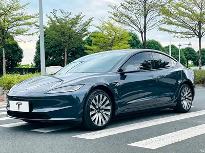 2023 Tesla Model 3 Rear-Wheel Drive, фото 1, лот 10358164