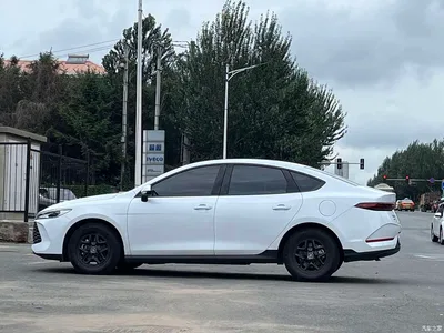 2025 BYD Qin PLUS DM-i Smart Drive 55KM Leader, фото 4, лот 10364347