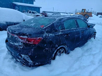 2019 KIA FORTE FE, фото 3, лот 10789419