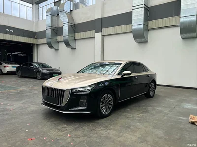 2023 Hongqi H5 2.0T Auto Smart Connect Flag Comfort, фото 1, лот 10288608