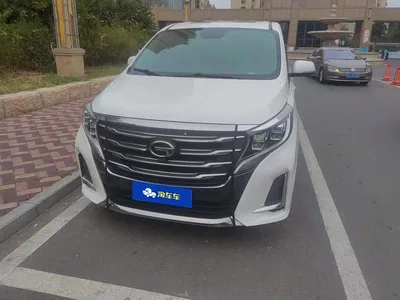 2020 GAC Trumpchi Trumpchi M8 Pilot 390T Prestige Edition, фото 2, лот 10767697