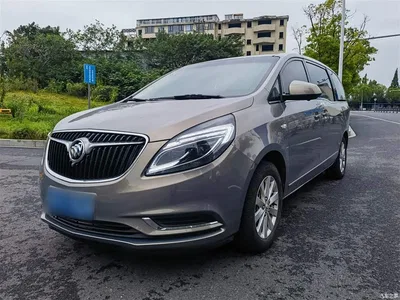 2018 Buick GL8 28T Luxury Model China VI, фото 2, лот 10262317