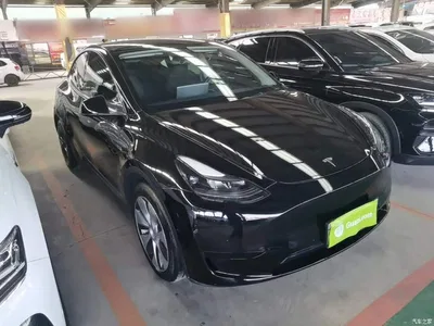 2022 Tesla Model Y Rear-Wheel Drive Version, фото 4, лот 11089578