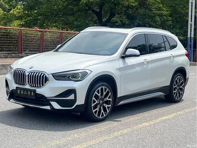 2021 BMW X1 Facelift xDrive25Li Premium, фото 1, лот 10466599