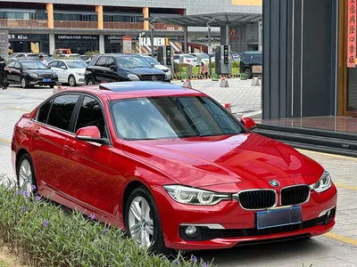 2016 BMW 3 Series 320Li Progressive, фото 3, лот 11135626