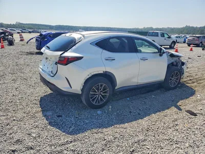 2024 LEXUS NX 350 BASE, фото 3, лот 10900719
