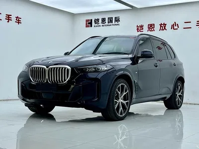 2023 BMW X5 xDrive 30Li Premium M Sport Black Night Package, фото 1, лот 10463252