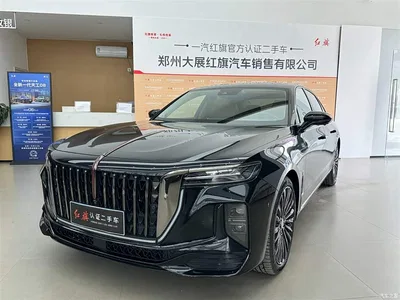 2025 Hongqi H9 Facelift 2.0T 2WD Flagship Premium Private Style Edition 5-seater, фото 1, лот 10399072