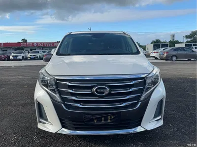 2020 GAC Trumpchi Trumpchi M8 Pilot 390T Prestige Edition, фото 2, лот 10418225
