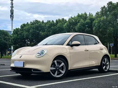 2021 Ora Good Cat 400km Standard Range Venus Edition (LFP), фото 1, лот 11549950